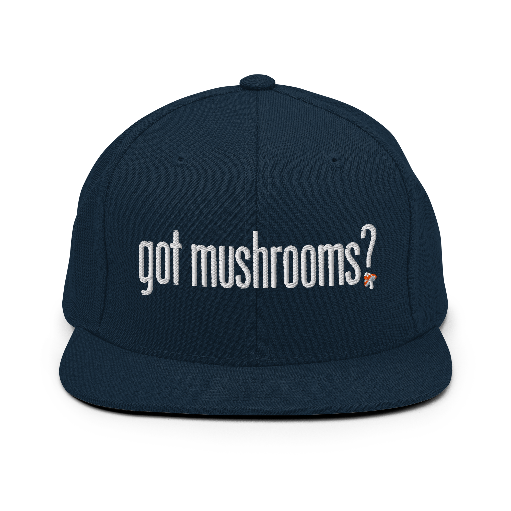 Snapback Hat | Got Mushroom? | Spiritual Headwear
