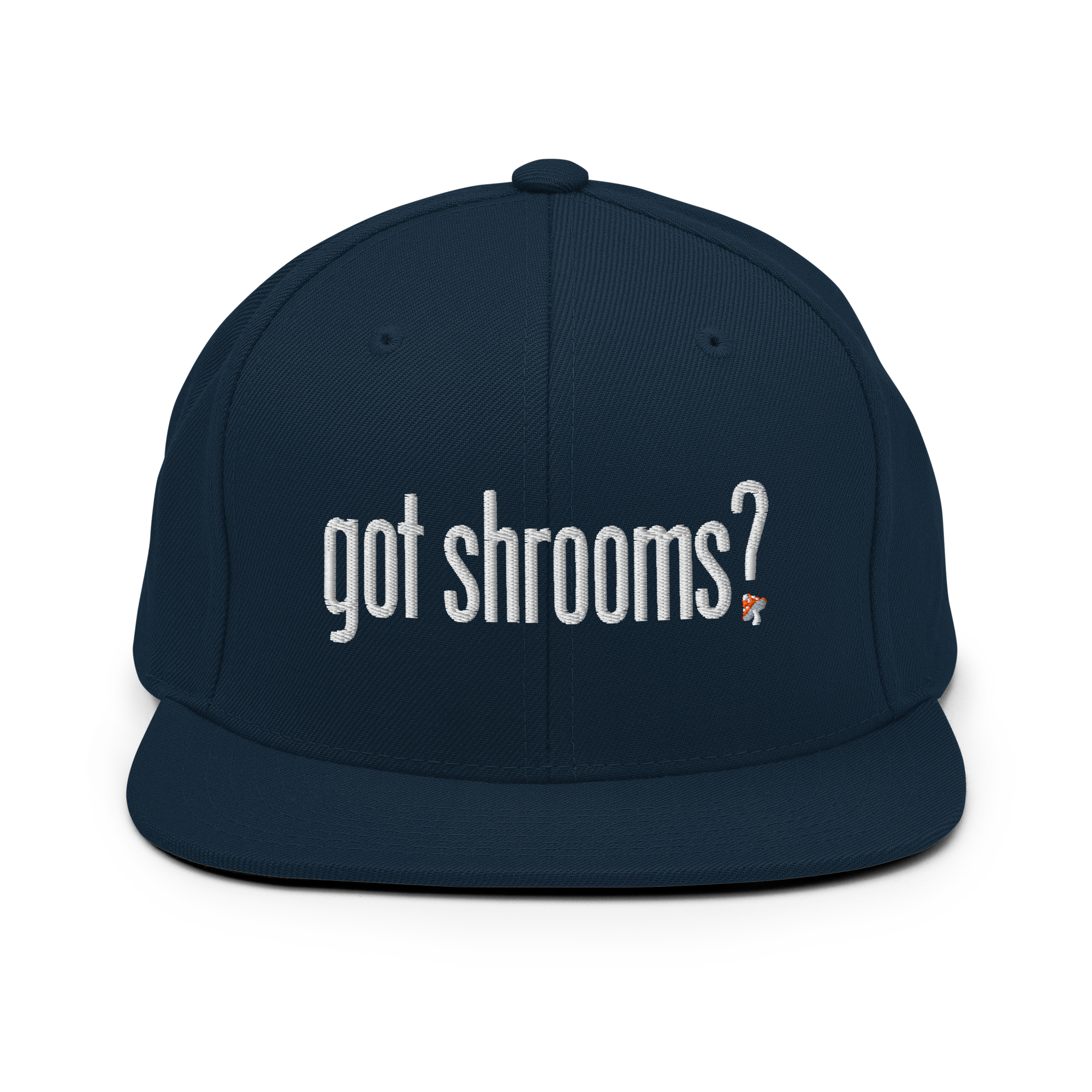 Snapback Hat | Got Shrooms? | Natural Medicine Knit Cap