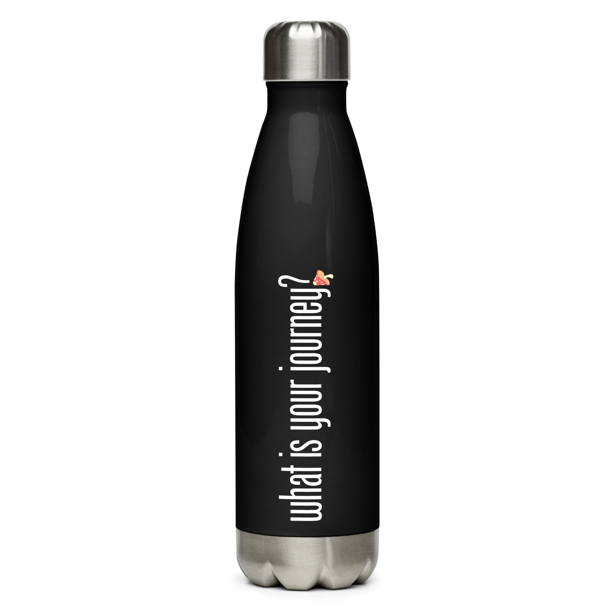 Stainless Steel Bottle | What Is Your Journey? | Explorer's Hydration Bottle