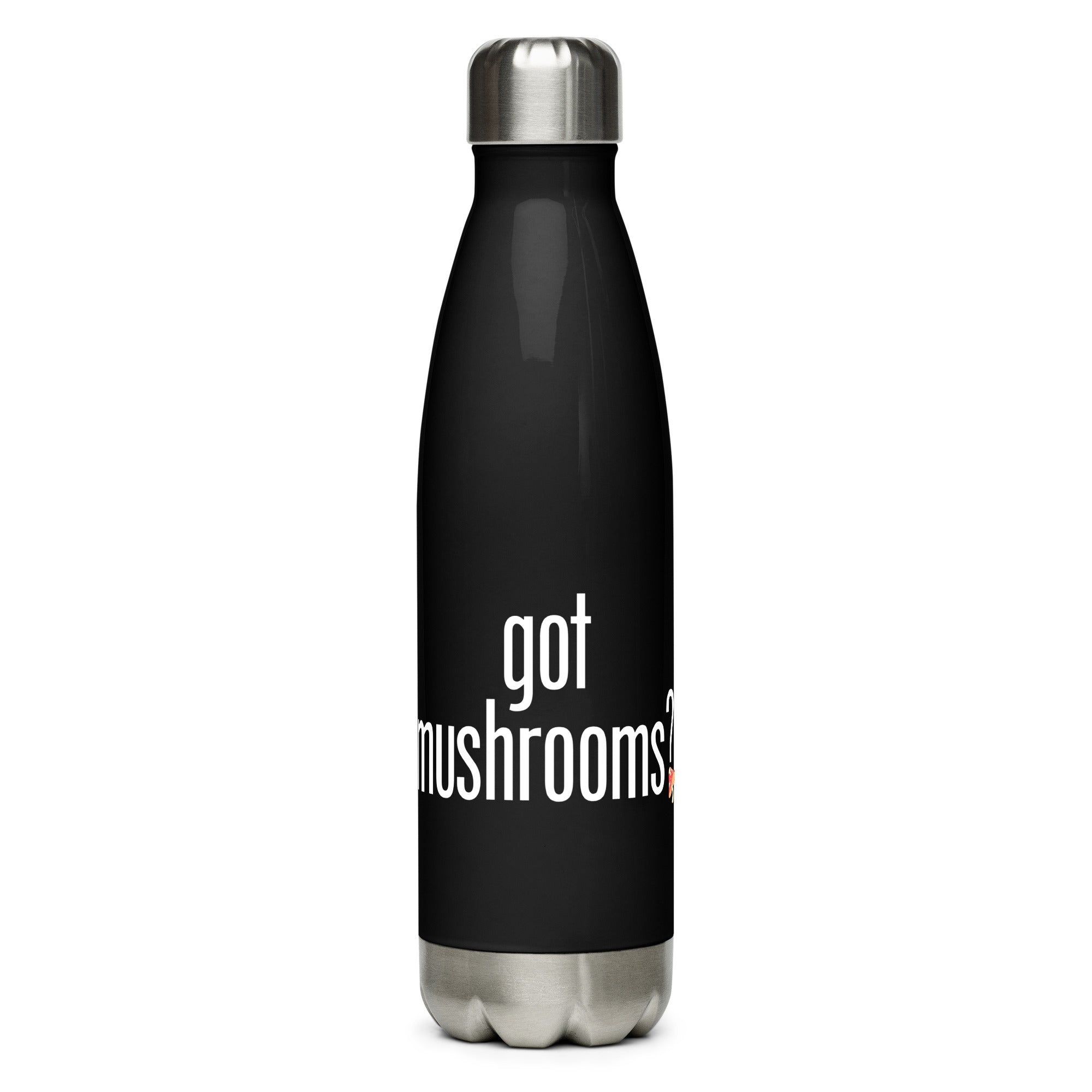 Stainless Steel Water Bottle