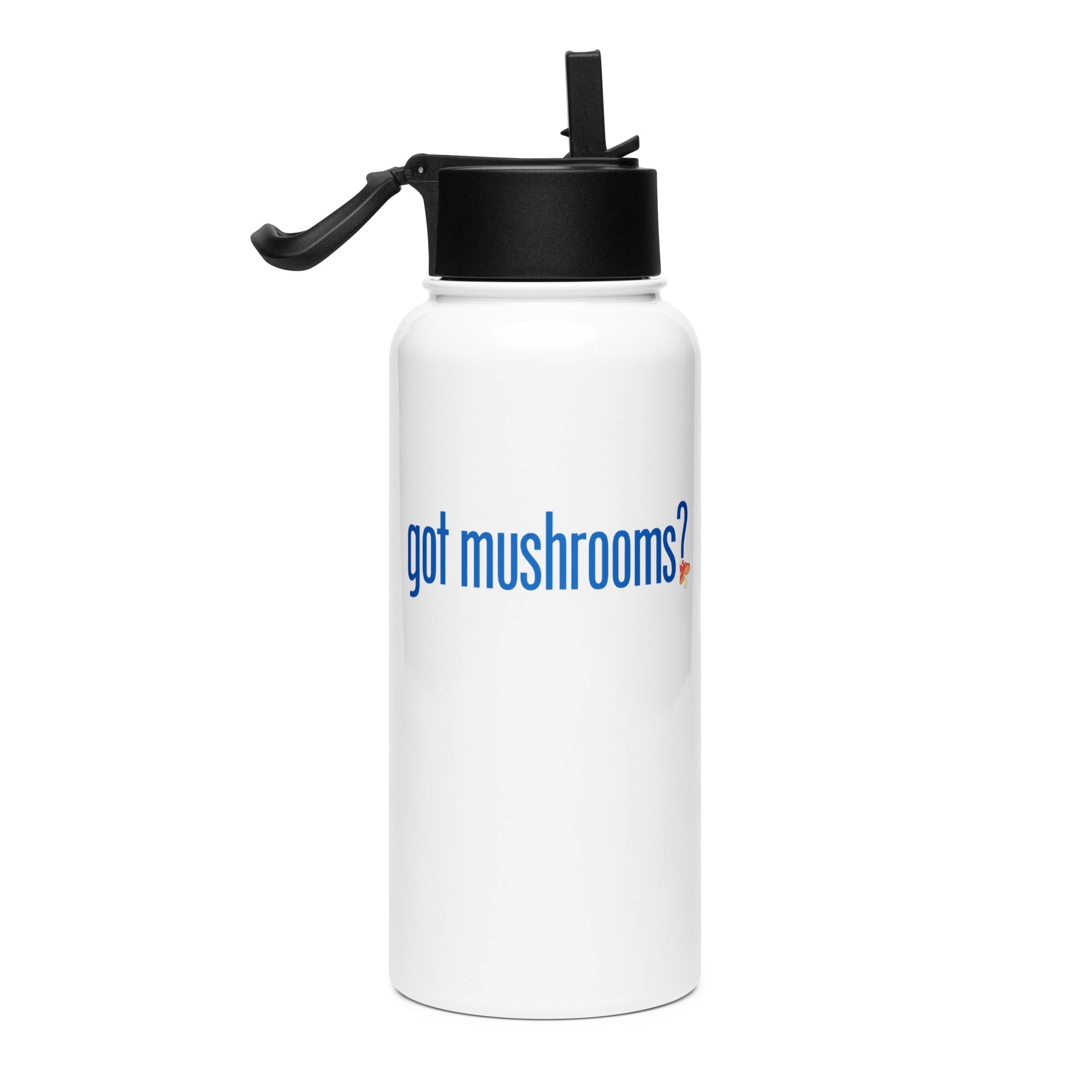 Stainless Steel Water Bottle With a Straw Lid