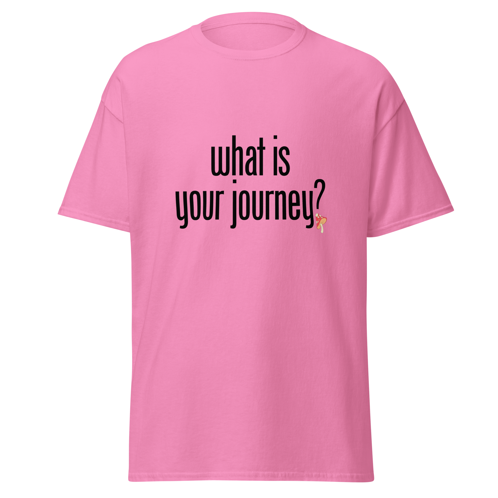 T-Shirt | What Is Your Journey? | Conscious Explorer Shirt