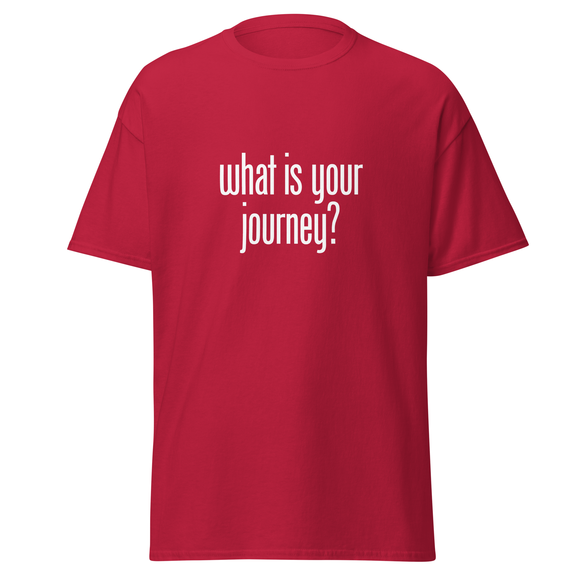 T-Shirt | What Is Your Journey? | Conscious Explorer Shirt