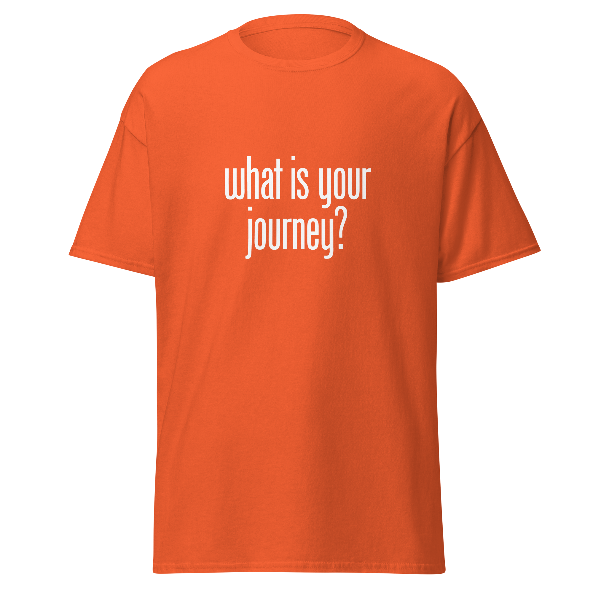 T-Shirt | What Is Your Journey? | Conscious Explorer Shirt