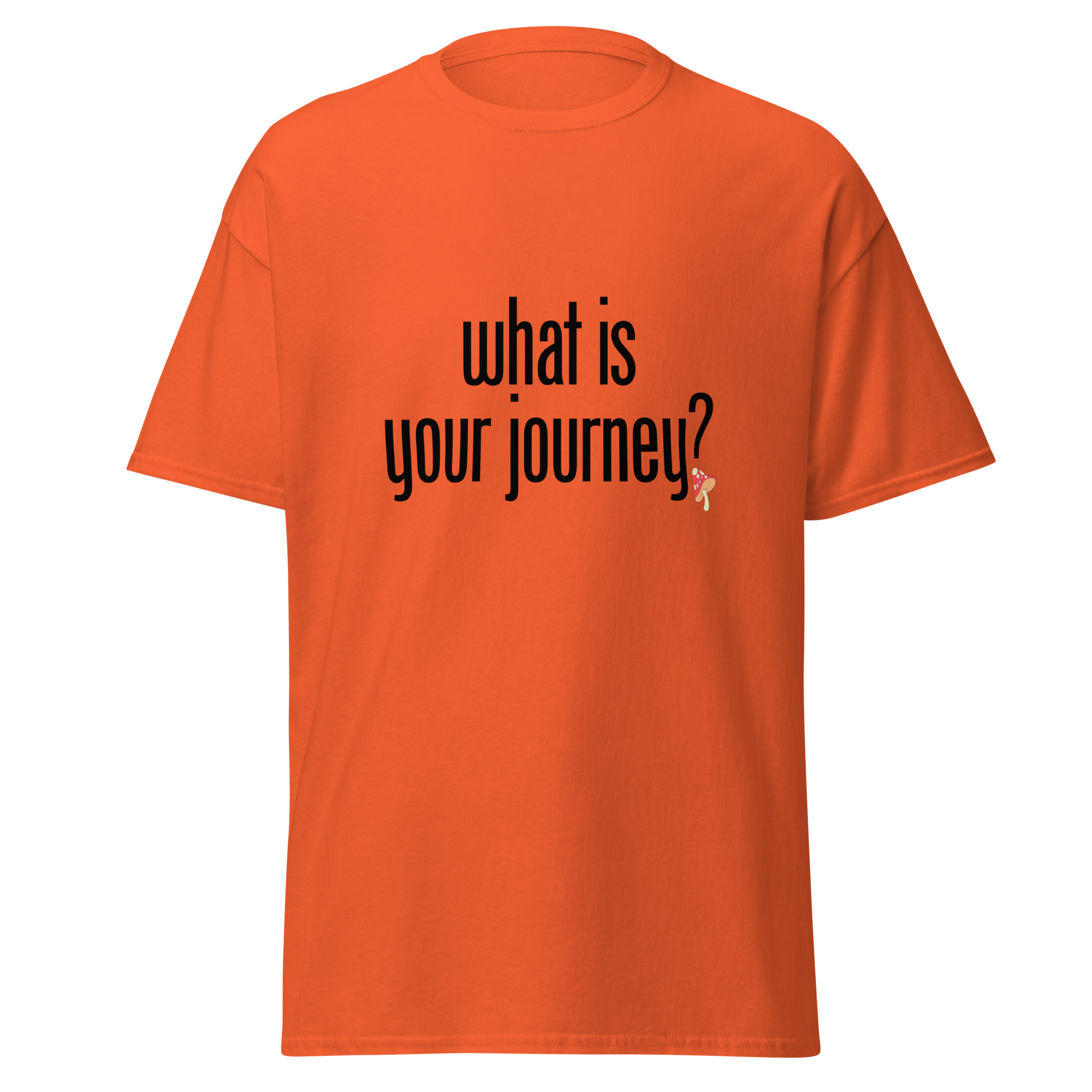 T-Shirt | What Is Your Journey? | Conscious Explorer Shirt